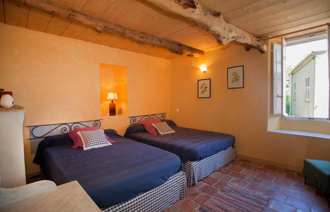 Maison Simonpietri Cagnano Eksteriør billede